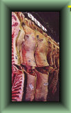 setter_angus011016.jpg